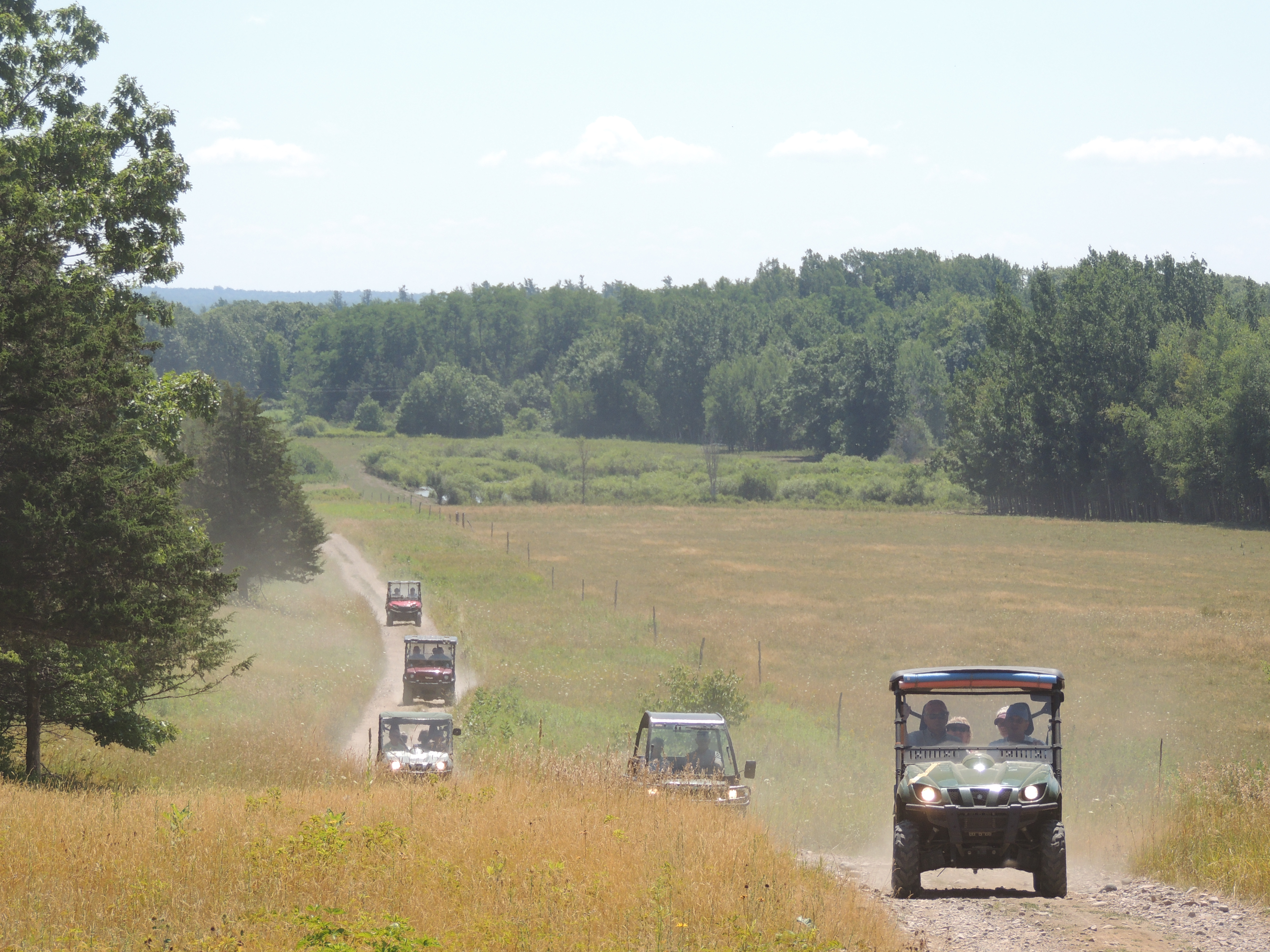 Grindstone Island Mule Tour | Thousand Islands Land Trust