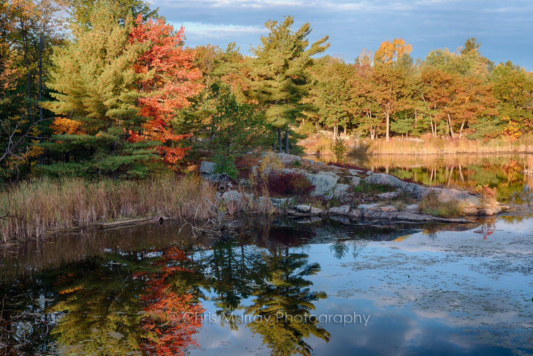 Fall Yoga At Otter Creek Preserve Thousand Islands Land Trust