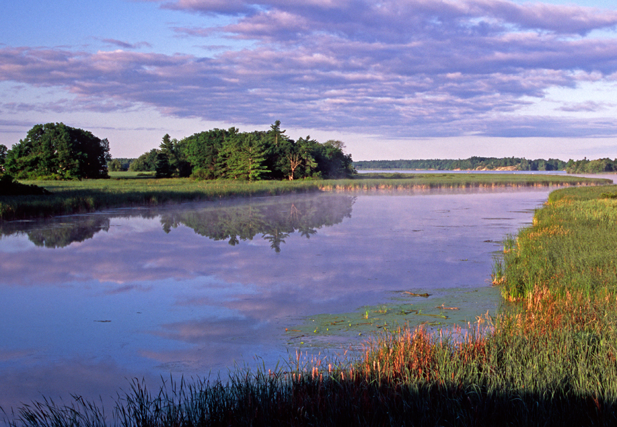 Chippewa Bay Preserve Thousand Islands Land Trust