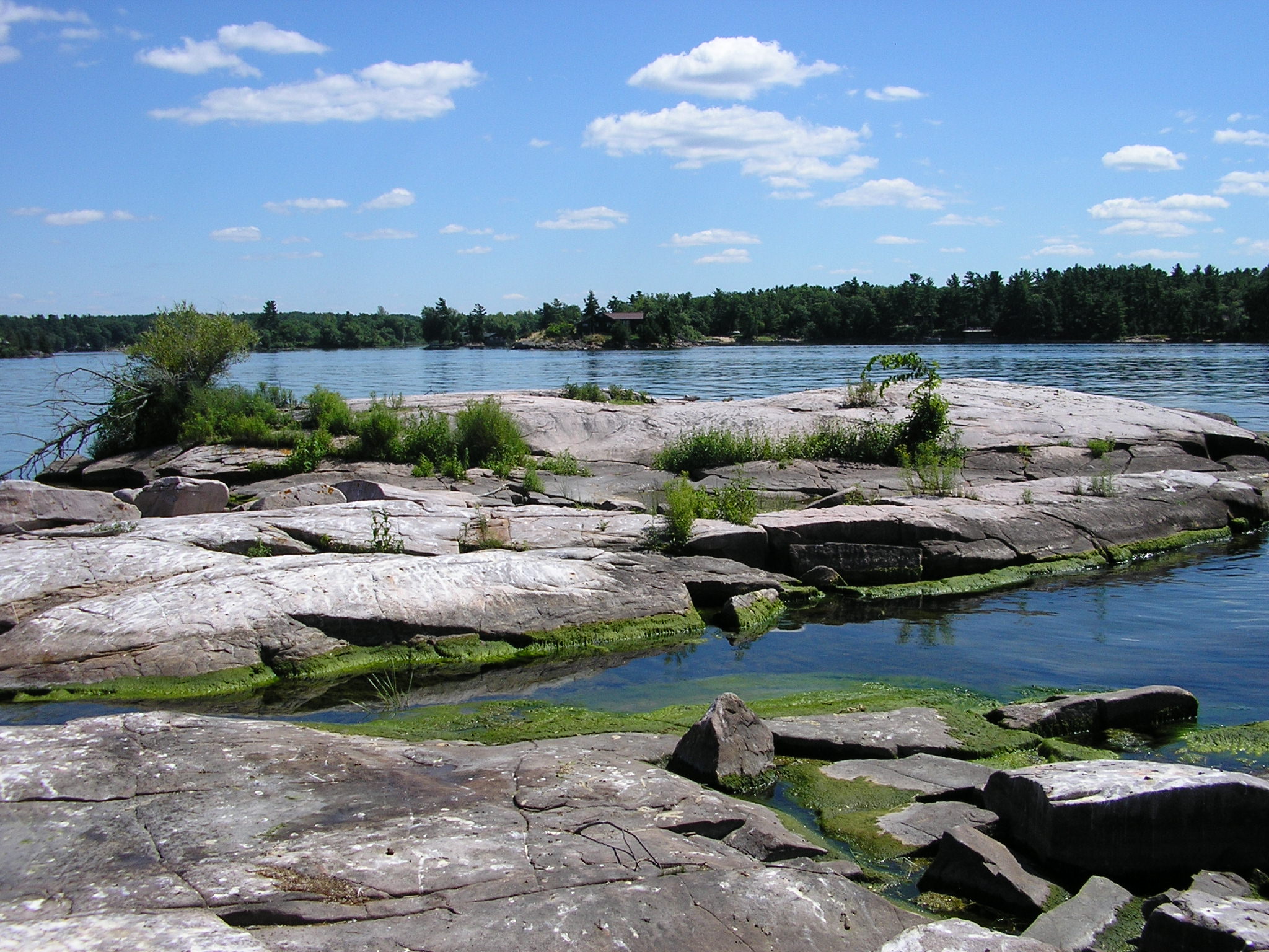 Rocks & Shoals | Thousand Islands Land Trust