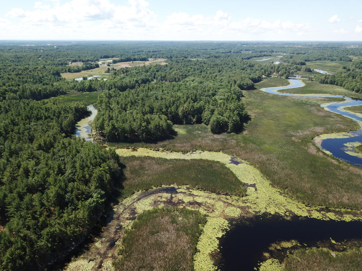 Wetlands on Wilton property adding to Crooked Creek Preserve
