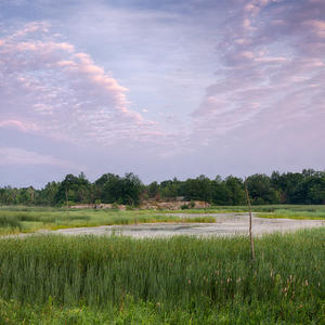 View of beautiful blue and lavender sky over green marsh